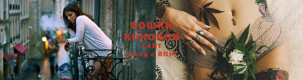 ешки Аркадак