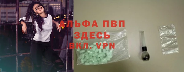 индика Абинск