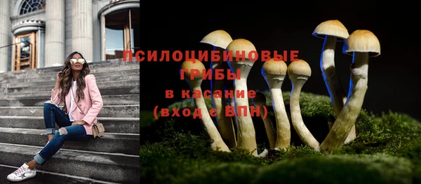 мескалин Арсеньев