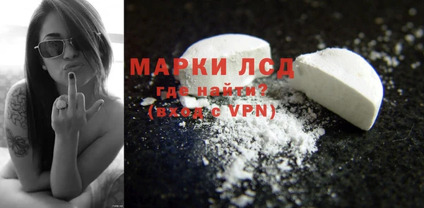 ешки Аркадак