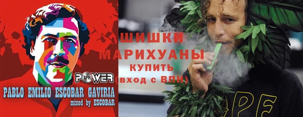 ешки Аркадак