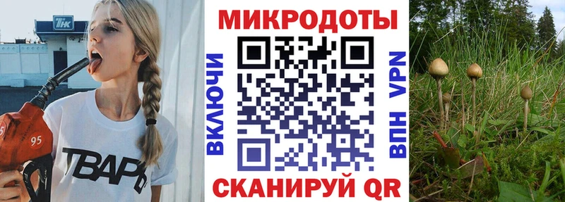 Псилоцибиновые грибы Psilocybine cubensis  купить   Курск 
