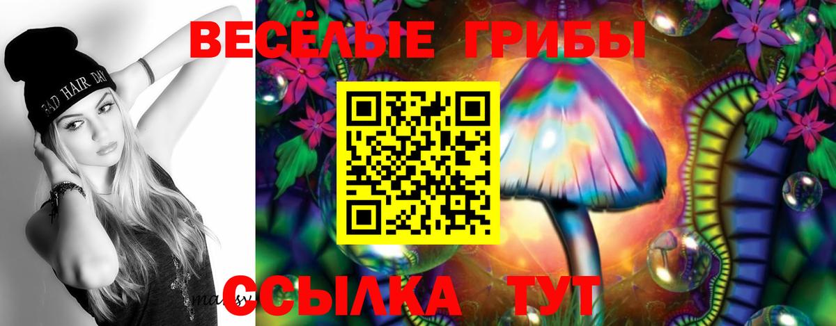 Галлюциногенные грибы Cubensis Курск