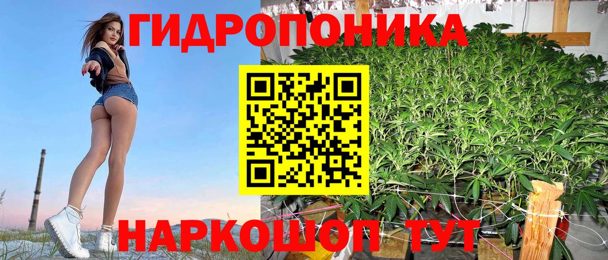МАРИХУАНА ГИДРОПОН Курск